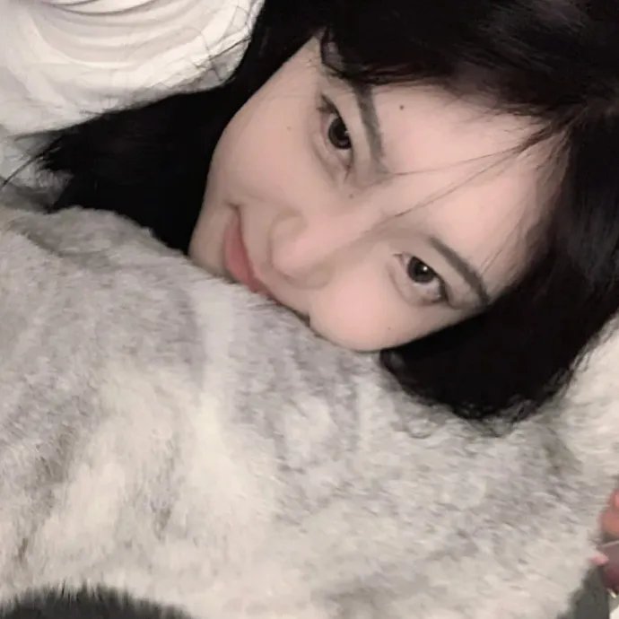 雪豹和她的朋友们